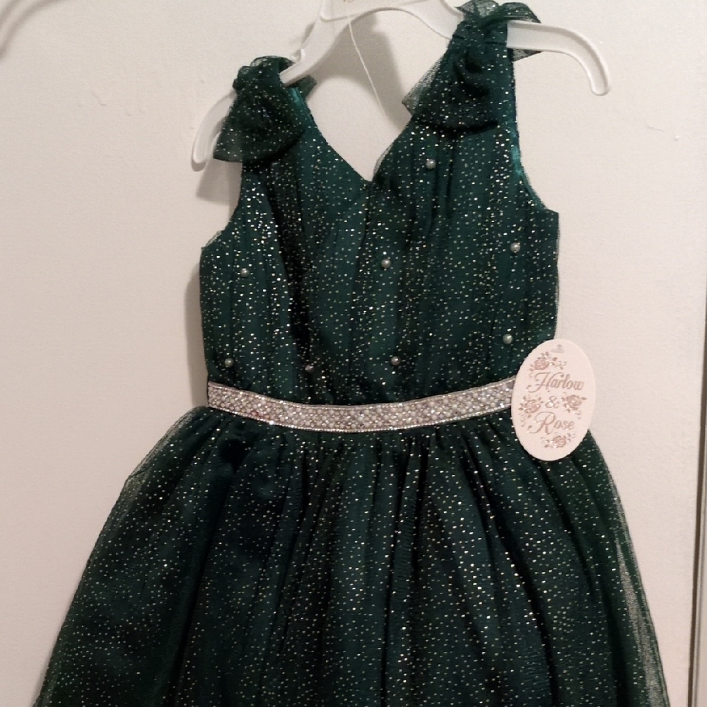 Harlow & Rose Elegant Sleeveless V-Neck Glittery Green Girls Dress 3T